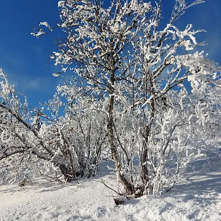 Soria Moria Vakker Fjellhytte I Valdres Med Panoramautsikt Chalet