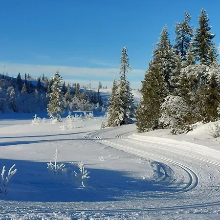 Soria Moria Vakker Fjellhytte I Valdres Med Panoramautsikt * Aurdal