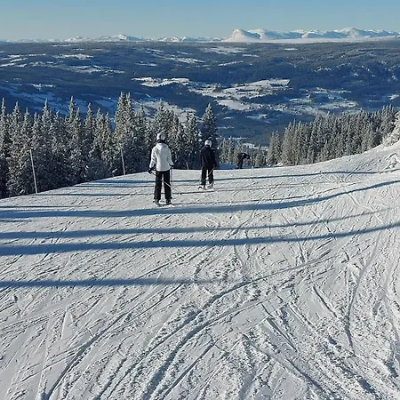 Soria Moria Vakker Fjellhytte I Valdres Med Panoramautsikt Chalet Aurdal