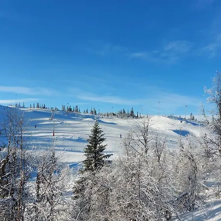 Soria Moria Vakker Fjellhytte I Valdres Med Panoramautsikt *