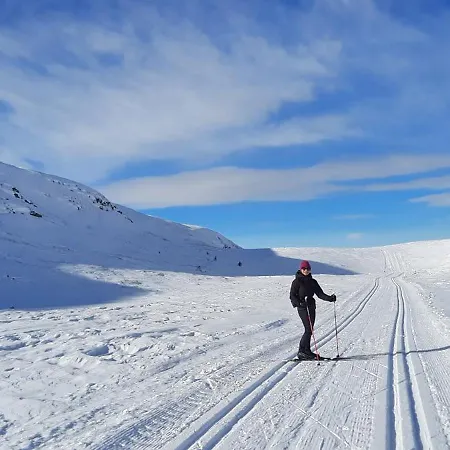 Soria Moria Vakker Fjellhytte I Valdres Med Panoramautsikt * Aurdal